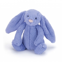 Jellycat 邦尼兔毛绒公仔玩具 经典系列蓝色中号